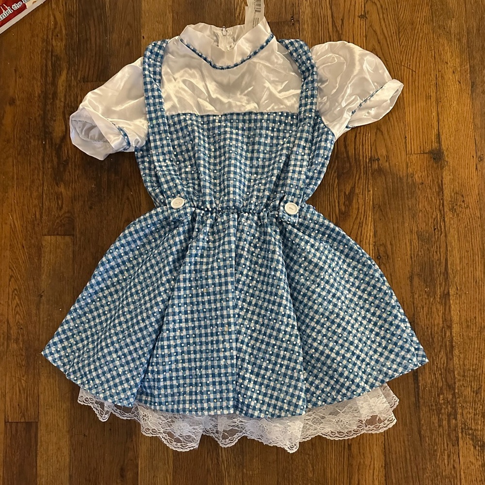 Rubie’s The Wizard Of Oz Dorthy Child Costume Girls sequin dress only size med